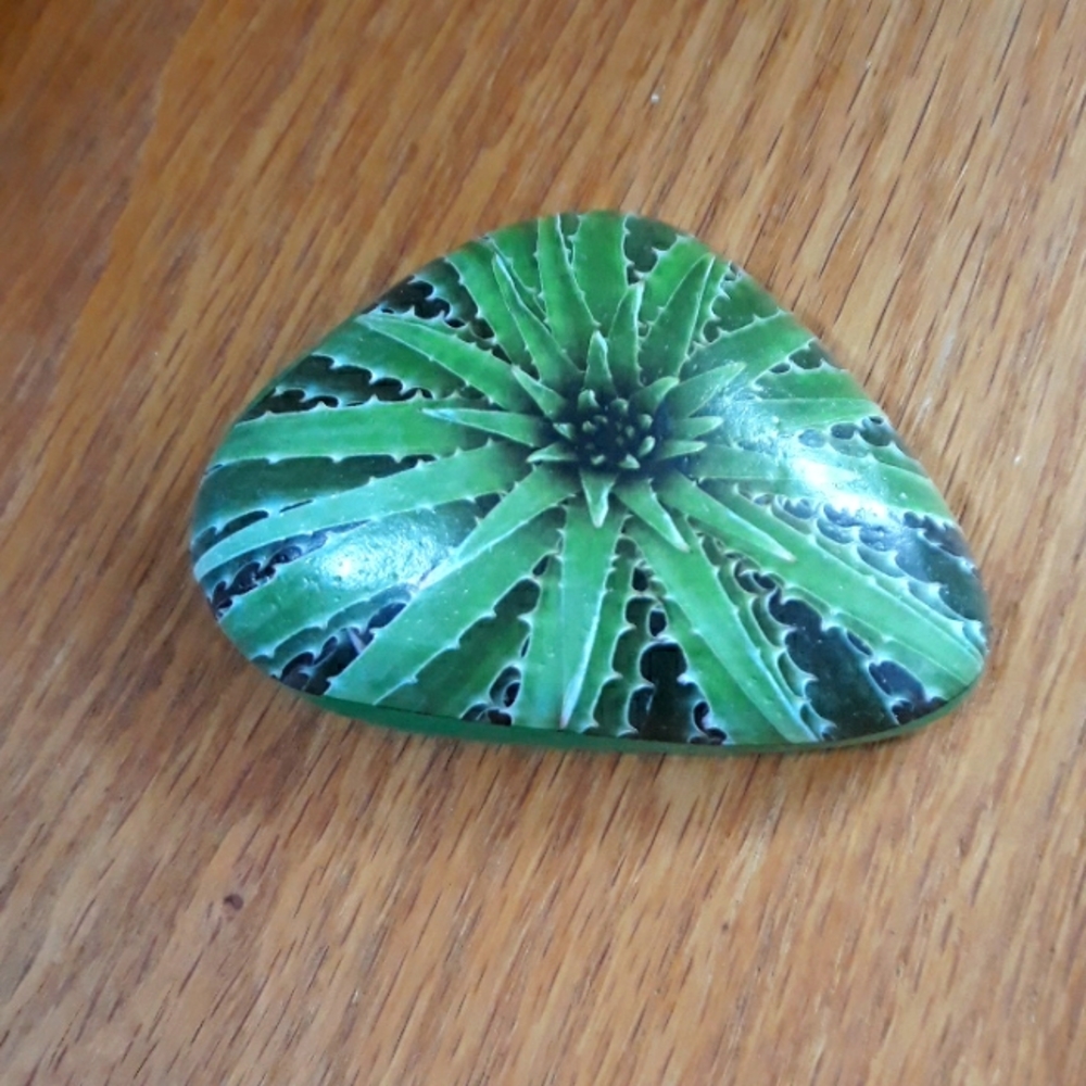 Succulent Art Rocks New - Picture 8 of 9